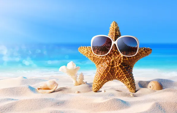 Картинка песок, море, пляж, лето, звезда, отпуск, очки, ракушки