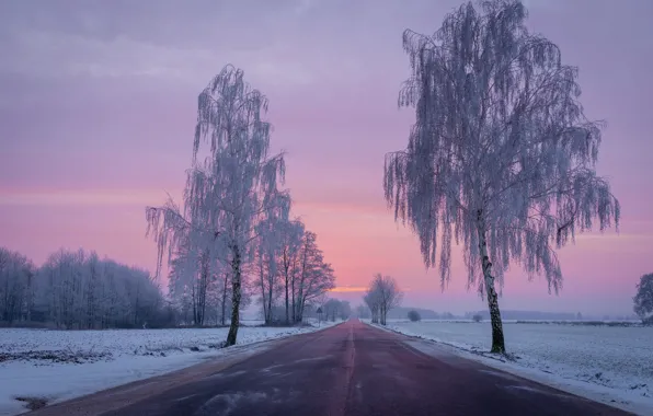 Картинка зима, дорога, поле, снег, деревья, рассвет, утро, Польша