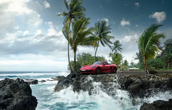 Волны, пальмы, океан, скалы, Porsche