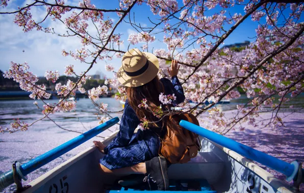 Картинка Вода, Девушка, Весна, Сакура, Япония, Лодка, Азиатка, Шляпа