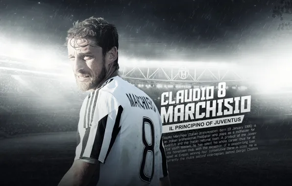 Wallpaper, sport, stadium, football, player, Juventus FC, Juventus Stadium, Claudio Marchisio