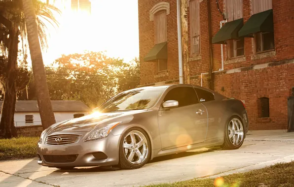 Солнце, серебристый, Infiniti, блик, инфинити, передняя часть, silvery, G37