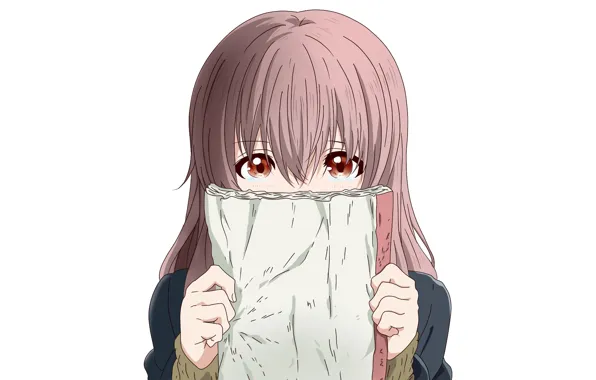 Взгляд, девочка, тетрадь, спряталась, Форма голоса, Koe No Katachi