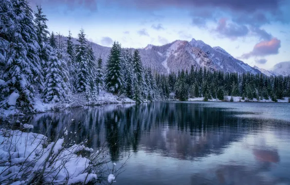 Картинка зима, лес, горы, озеро, пруд, ели, штат Вашингтон, Каскадные горы