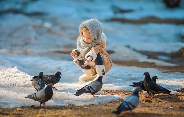 Картинка снег, птицы, весна, голуби, девочка, ребёнок, кормление, Ирина Ларина