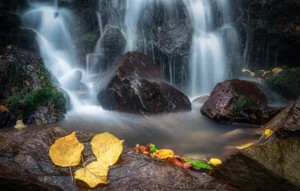 Осень, листья, природа, камни, водопад
