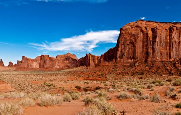 Песок, камни, скалы, пустыня, каньон, США, кустарник, Grand Canyon National Park