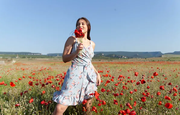 Nature, model, brunette, gorgeous, photoshoot, posing, red flowers, beautiful face
