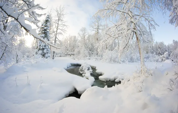 Зима, лес, снег, деревья, ручей, сугробы