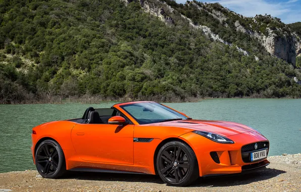 Картинка car, Jaguar, wallpapers, orange, F-Type, V8 S