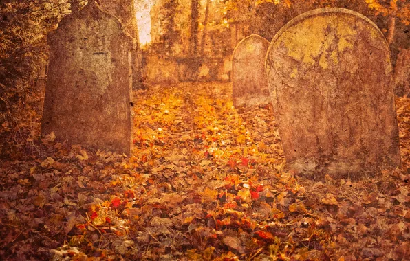 Картинка осень, листья, деревья, листва, кладбище