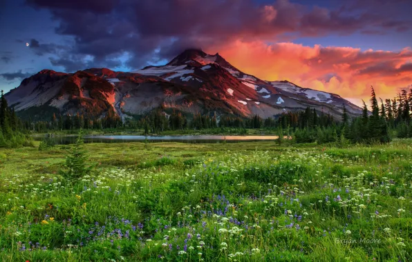 Картинка гора, небо, цветы.трава, луг