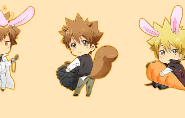 Фон, аниме, арт, Sawada Tsunayoshi, Katekyo Hitman REBORN!, Vongola Primo Giotto, Huahua