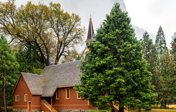 Осень, деревья, туман, скалы, дома, Калифорния, USA, США