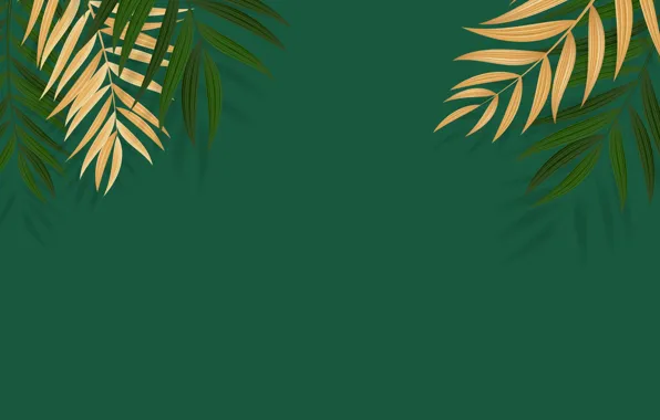 Ветка, Тропики, Текстура, Texture, Tropics, Branch, Palm Leaf, Пальмовый лист