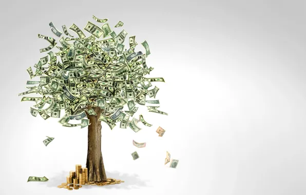 Картинка дерево, деньги, валюта
