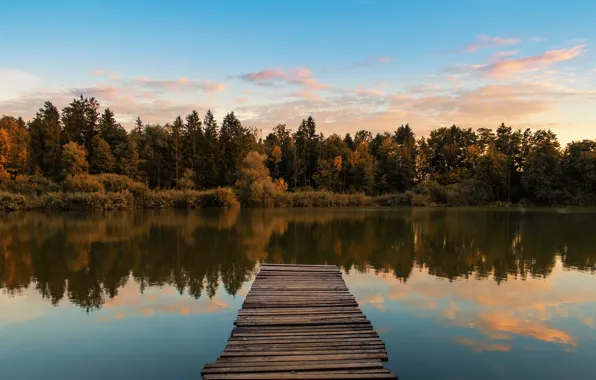 Trees, wood, water, autumn, lake, morning, sunrise, dawn