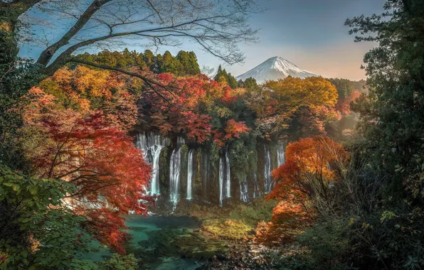 Картинка осень, листья, деревья, ветки, вечер, Япония, Japan, водопады
