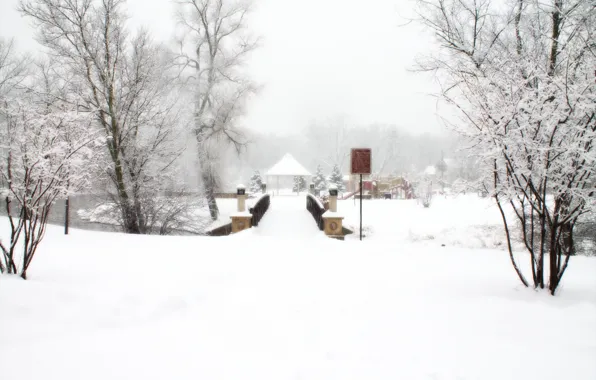 Картинка зима, снег, деревья, Природа, деревня, мороз, метель, trees