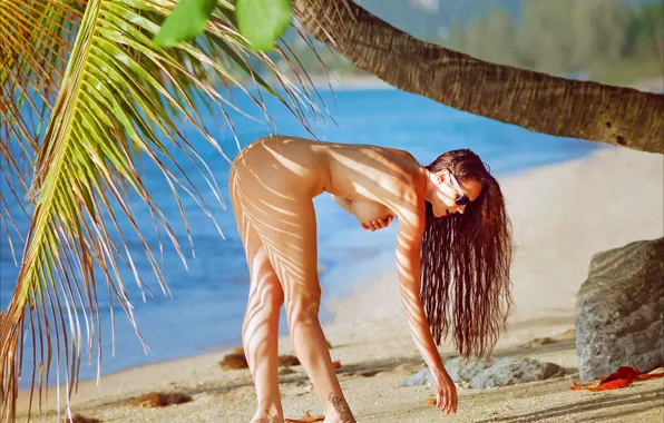 Girl, sexy, beach, photographer, model, tattoo, nude, brunette