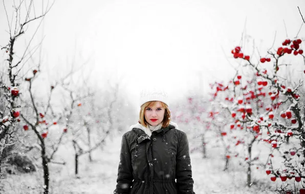 Картинка девушка, снег, природа, фон, яблоки, яблони