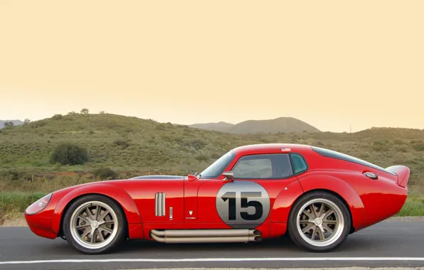 COUPE, LE MANS, SPORT, DAYTONA