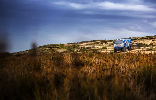Природа, Трава, Спорт, Грузовик, Гонка, Мастер, Kamaz, Rally