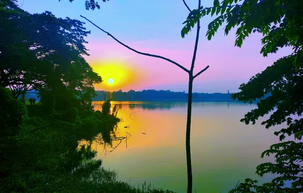 Sky, Sun, Water, Sunrise, Dawn, Morning, Lake, Trees