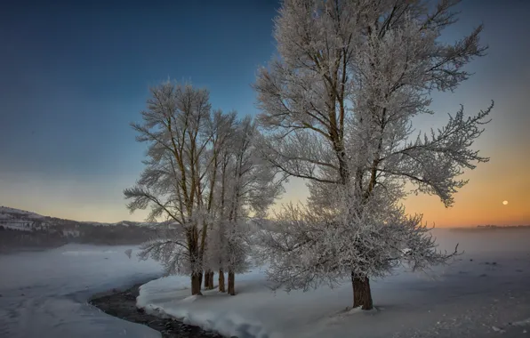 Картинка зима, снег, деревья, пейзаж, природа, река, рассвет, утро