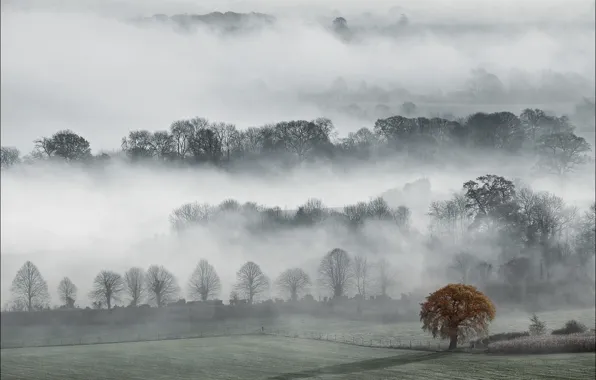 Осень, туман, Англия, графство, Уилтшир, Долина Пеуси