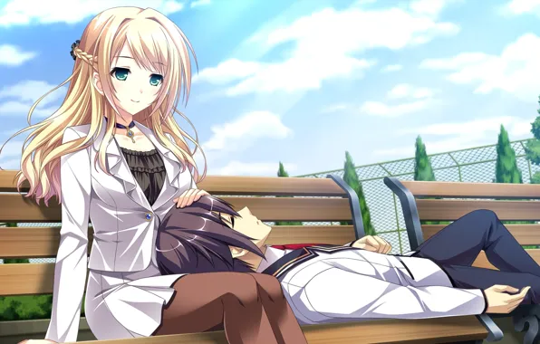 Деревья, форма, двое, свидание, скамейки, школьники, visual novel, mote sugite shuraba na ore