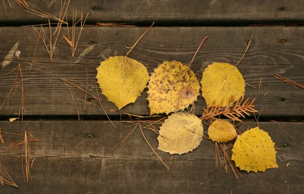 Картинка осень, листья, макро, фото, дерево, доски, осенние обои
