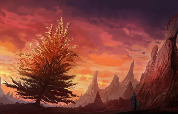 Картинка закат, природа, люди, дерево, скалы