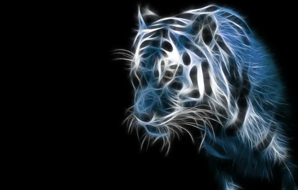 Картинка тигр, темно, черный фон