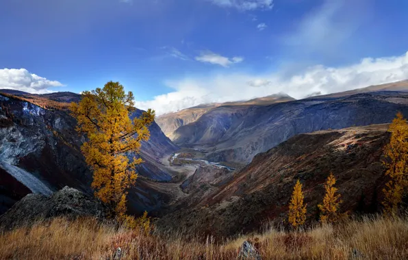 Картинка осень, горы, Алтай