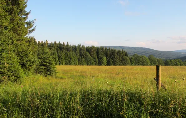 Картинка поле, лес, горы, Чехия, Шумава, narodni park Šumava