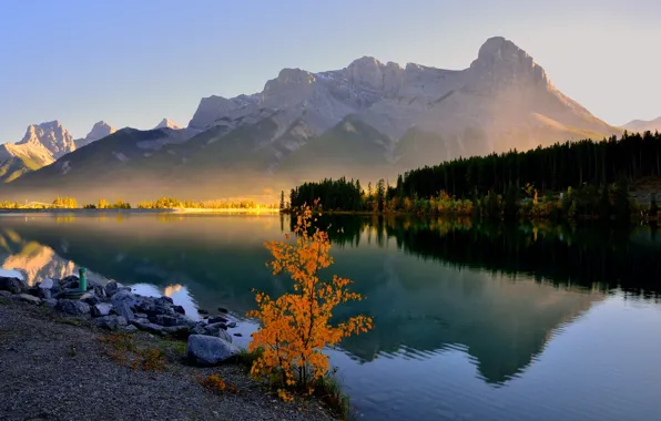 Картинка лес, деревья, горы, озеро, утро, дымка, Canada, Banff