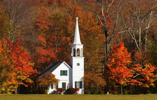 Картинка осень, листья, деревья, листва, башня, церковь, домик, багрянец