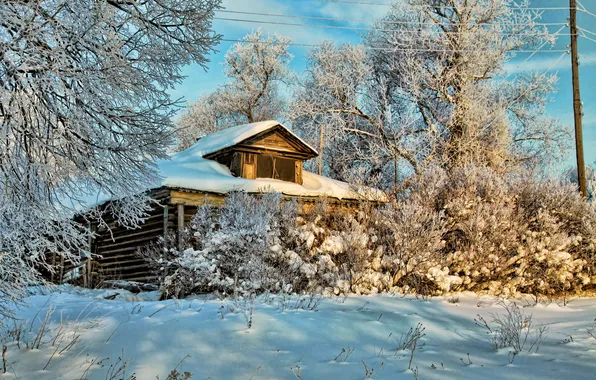 Картинка зима, снег, деревья, природа, фото, дома