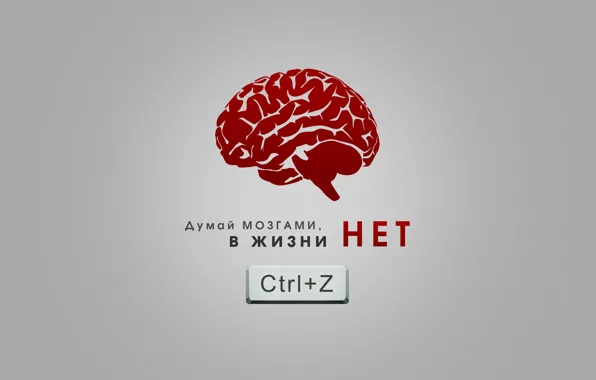 Картинка минимализм, мозги, думай, Ctrl z, ошибки