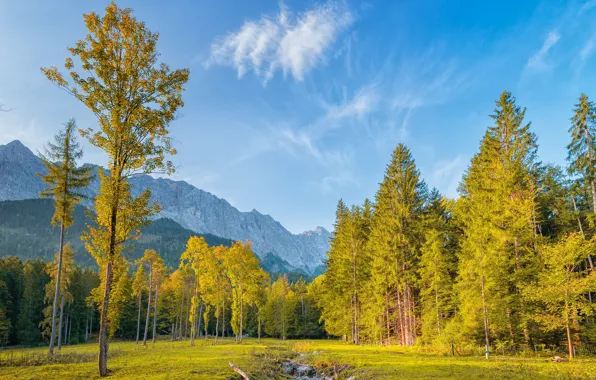 Картинка деревья, горы, синева