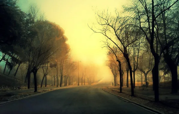 Картинка дорога, деревья, туман, аллея