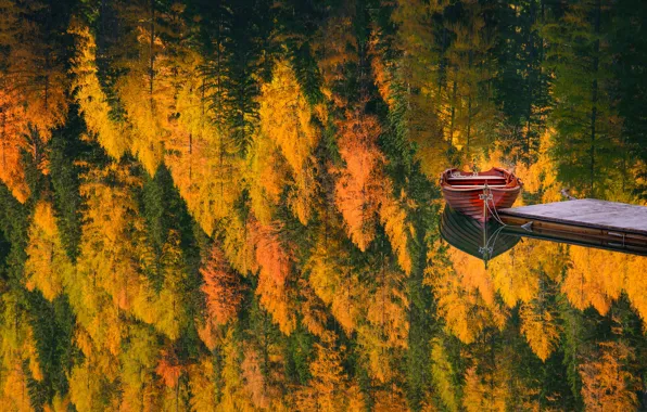 Осень, лес, деревья, природа, озеро, отражение, лодка, причал