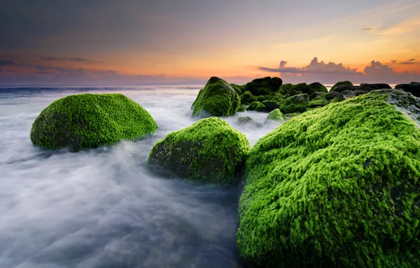 Пляж, камни, океан, Bali, Indonesia, Masceti Beach, водросли, Ketewel