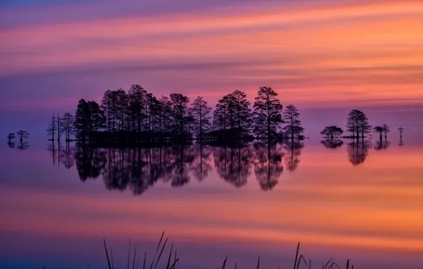 Картинка небо, деревья, закат, озеро, отражение, вечер, США, Северная Каролина