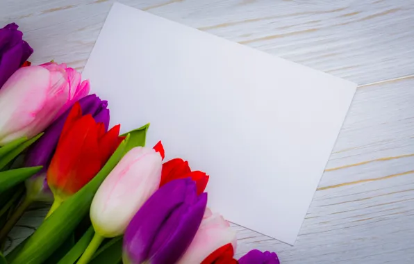 Картинка цветы, colorful, тюльпаны, red, white, wood, flowers, tulips