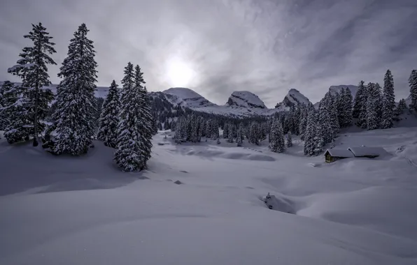 Картинка зима, снег, горы, Швейцария, ели, Альпы, сугробы, домик