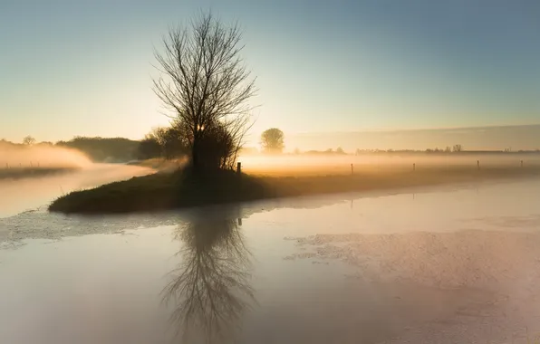 Картинка поле, пейзаж, туман, утро, канал