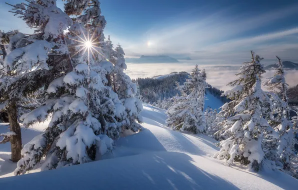 Зима, снег, деревья, горы, Австрия, ели, Альпы, сугробы