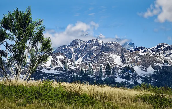 HDR, Clouds, Sky, Tree, Mountain, Snow, Game, Woods